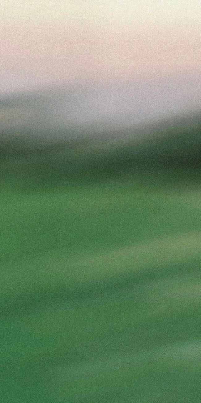 Taichi, Chi Kung, Qigong en Guadalajara