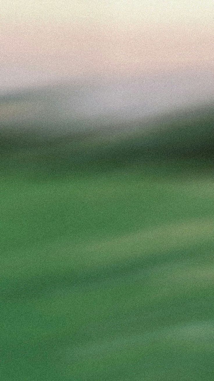 Taichi, Chi Kung, Qigong en Guadalajara